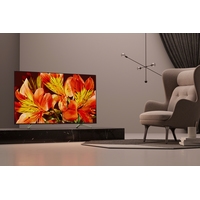 Телевизор Sony KD-65XF8596