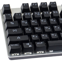 Клавиатура Rapoo V500 Alloy