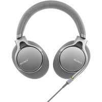 Наушники с микрофоном Sony MDR-1AM2S (серебристый)