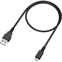 Наушники с микрофоном Sony WI-C300 (черный)