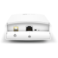 Точка доступа TP-Link CAP300-Outdoor