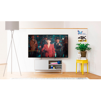 Телевизор Panasonic TX-55EXR600