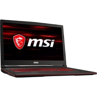 Ноутбук MSI GL73 8RC-249RU 32 Гб