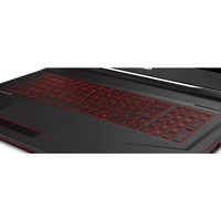 Ноутбук MSI GL73 8RC-249RU 32 Гб