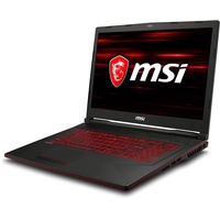 Ноутбук MSI GL73 8RC-249RU 32 Гб