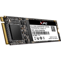 SSD A-Data XPG SX6000 Pro 256GB ASX6000PNP-256GT-C