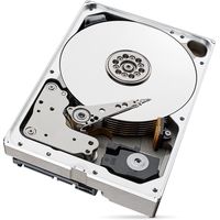 Жесткий диск Seagate SkyHawk AI 8TB ST8000VE0004