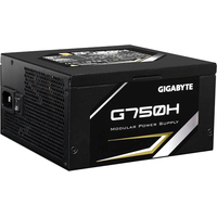 Блок питания Gigabyte GP-G750H 750W Gold [GP-G750H]