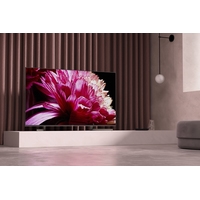 Телевизор Sony KD-65XG9505