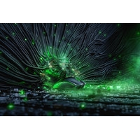 Мышь Razer Mamba Wireless