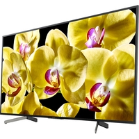 Телевизор Sony KD-55XG8096