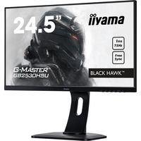 Монитор Iiyama Black Hawk G-Master GB2530HSU-B1