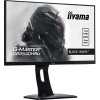 Монитор Iiyama Black Hawk G-Master GB2530HSU-B1