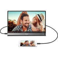 Монитор ASUS MB16AP