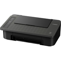 Принтер Canon PIXMA TS304