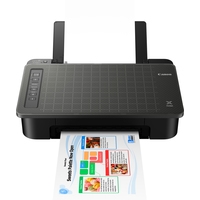 Принтер Canon PIXMA TS304