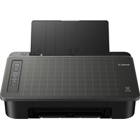 Принтер Canon PIXMA TS304