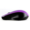 Мышь SmartBuy 309AG Purple (SBM-309AG-P)