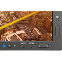 Монитор NEC MultiSync PA243W (черный)
