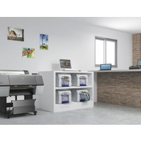 Принтер Epson SureLab SL-D700