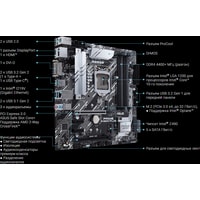 Материнская плата ASUS Prime Z490M-Plus
