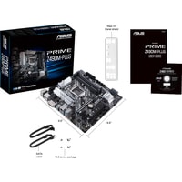 Материнская плата ASUS Prime Z490M-Plus