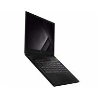 Ноутбук MSI GS66 Stealth 10SGS-243RU (9S7-16V112-243)