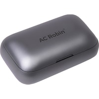 Наушники AC Robin Echo