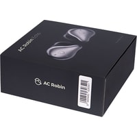 Наушники AC Robin Echo