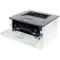 Принтер Pantum P3010D