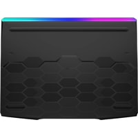 Игровой ноутбук MSI GE66 Raider 10SGS-254RU