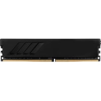 Оперативная память GeIL EVO Spear 8GB DDR4 PC4-25600 GSB416GB3200C16ASC