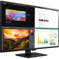 Монитор LG 43UN700-B