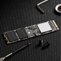 SSD A-Data XPG SX8100 2TB ASX8100NP-2TT-C