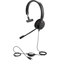 Наушники Jabra Evolve 20 MS Mono [4993-823-109]