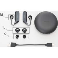 Наушники Sony Xperia Ear Duo (черный)