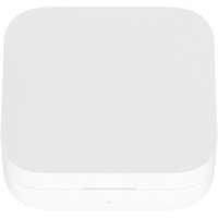 Наушники Xiaomi Mi True Wireless Earphones 2 Basic TWSEJ08WM