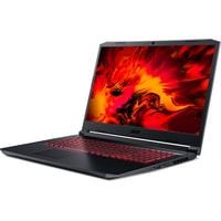 Игровой ноутбук Acer Nitro 5 AN517-52-74T1 NH.Q80EU.00N 32 Гб