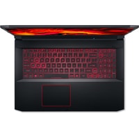 Игровой ноутбук Acer Nitro 5 AN517-52-74T1 NH.Q80EU.00N 32 Гб