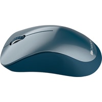 Мышь Canyon CNE-CMSW11BL