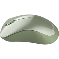 Мышь Canyon CNE-CMSW11SM