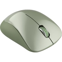 Мышь Canyon CNE-CMSW11SM
