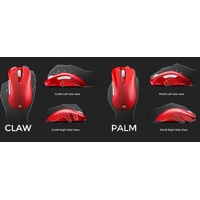 Игровая мышь BenQ Zowie EC1 Tyloo