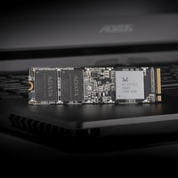 SSD A-Data XPG SX8100 1TB ASX8100NP-1TT-C