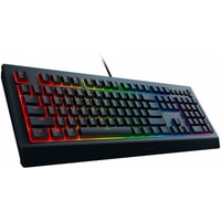 Клавиатура Razer Cynosa v2