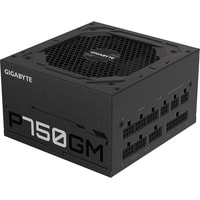 Блок питания Gigabyte P750GM GP-P750GM