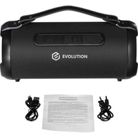 Беспроводная колонка Evolution BOOM-101 (черный)