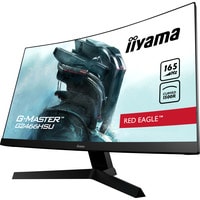 Монитор Iiyama G-Master G2466HSU-B1