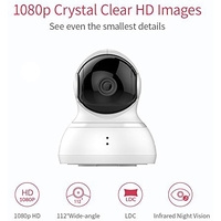 IP-камера YI 1080p Dome Camera (белый)