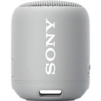 Беспроводная колонка Sony SRS-XB12 (серый)